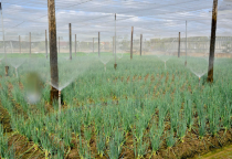 Ứng dụng công nghệ 4.0 vào sản xuất nông nghiệp Ứng dụng công nghệ 4.0 vào sản xuất nông nghiệp