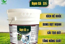 Đạm Cá Là Gì?  Giải Mã "Thần Dược" Hữu Cơ Giúp Cây Trồng Bứt Phá Năng Suất