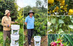 Đạm Cá DS - Hành trình trở thành thương hiệu đạm cá được nhiều bà con trên cả nước tin dùng