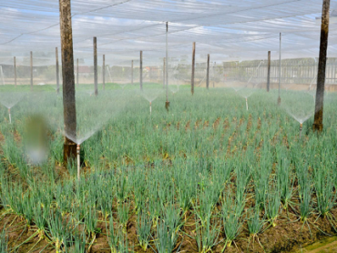 Ứng dụng công nghệ 4.0 vào sản xuất nông nghiệp