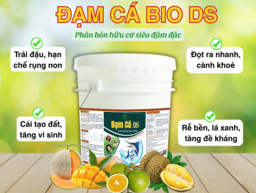Điểm khác biệt của Đạm Cá DS so với các loại đạm cá thông thường