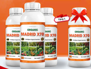 ORGANIC MADRID X70 – MUA 3 TẶNG 1, MUA 5 TẶNG 2