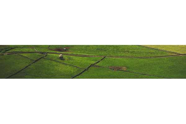 banner08