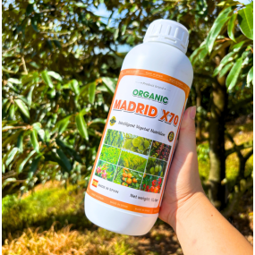 Phân Bón Hữu Cơ MADRID X70