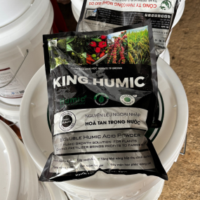 KING HUMIC - Siêu kích rễ