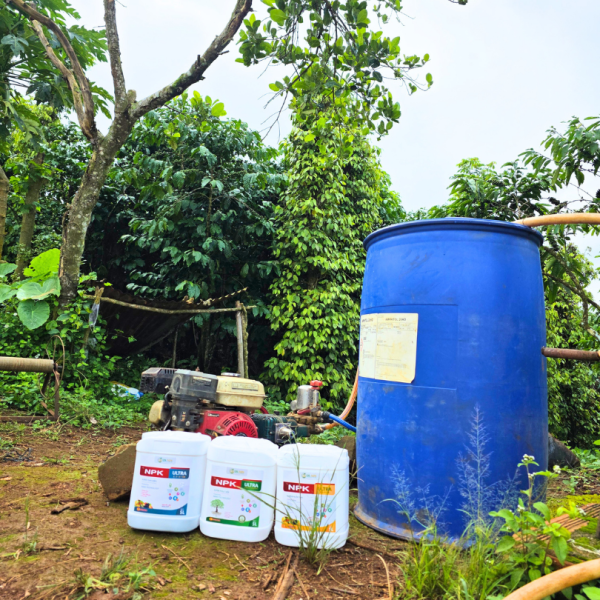 NPK ULTRA - SUPER PHỤC HỒI