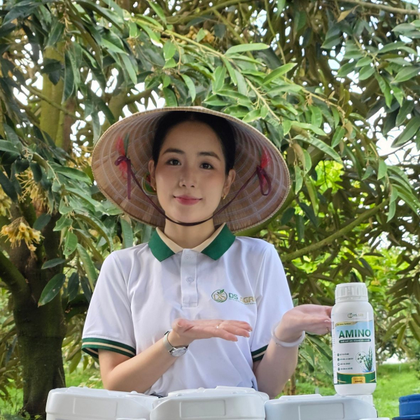 AMINO RONG BIỂN