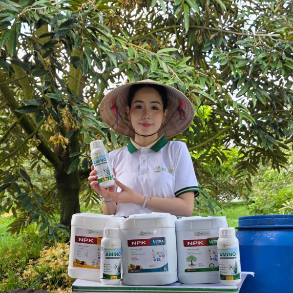 AMINO RONG BIỂN